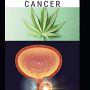 CBD OIL FOR PROSTRATE CANCER: THIS IS COMPREHENSIVE GUIDE  ON THE USES AND BENEFIT OF CBD OIL FOR PROSTRATE CANCER