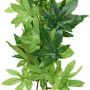 Exo Terra Silk Terrarium Plant, Small, Abutilon