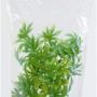 Zoo Med Laboratories SZMBU16 Natural Bushy Cannabis, Small