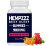 HempZZZ Gummies for Deep Sleep | with Melatonin and Theanine! Relaxation, Anxiety, Stress, Pain and Sleep Relief | 9000 MG Hemp Extract Gummy Bears