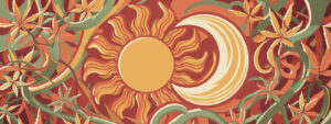 does CBD make you tired — sun and moon botanical illustration
