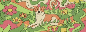 will CBD get my dog high — relaxed dog in botanical field